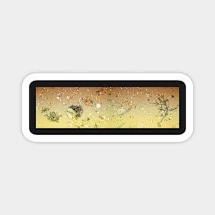 Beach Panoramic Magnet