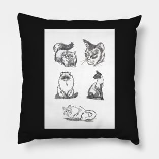 Cats greeting card by Nicole Janes Pillow