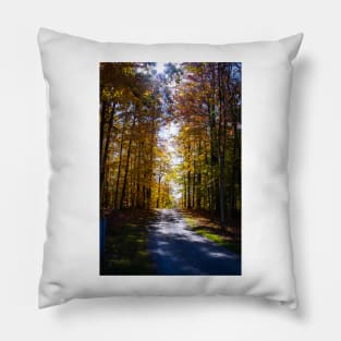 Sunny Fall Road Pillow