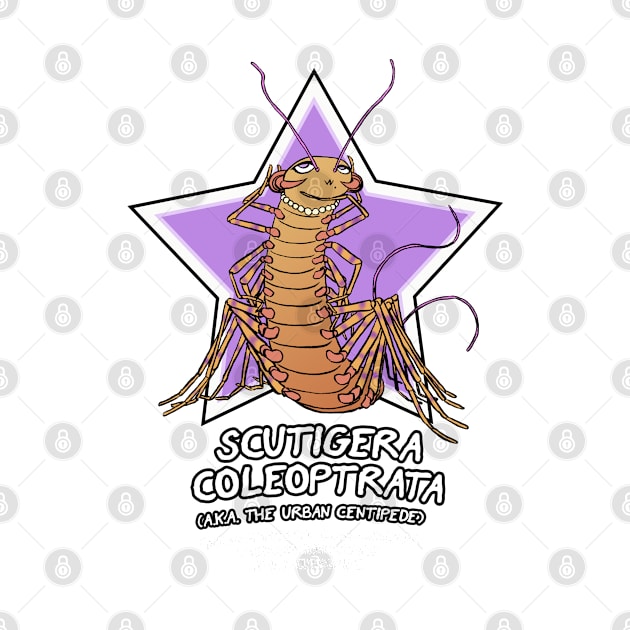 Scutigera Coleoptrata by Cyborg One