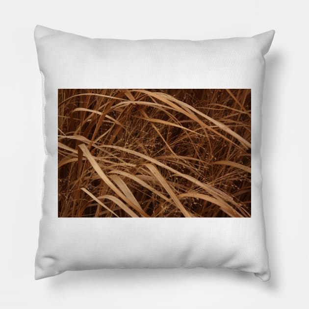 December's Grasses Pillow by lyle58