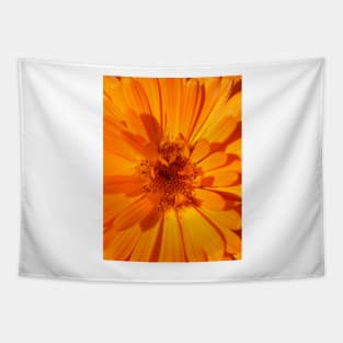 Calendula Tapestry