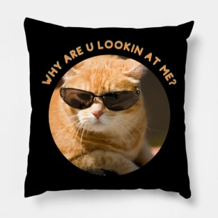Ginger Cat, Why are you looking at me Pillow