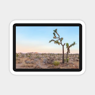 Desert Yuccas Magnet