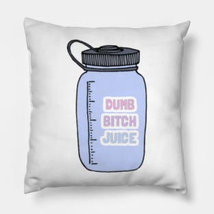 Water bottle Sticker Pillow