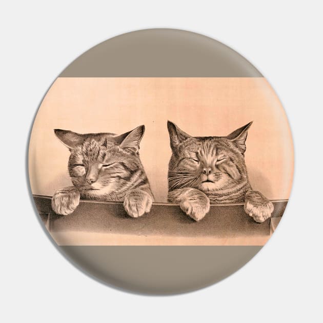 Two cute brindle and tabby kittens. Cat brothers. Family of Cats. Drawing of cats with closed eyes Pin by Marccelus