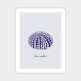 White sea urchin with blue dots. Realistic sea life drawings. Magnet