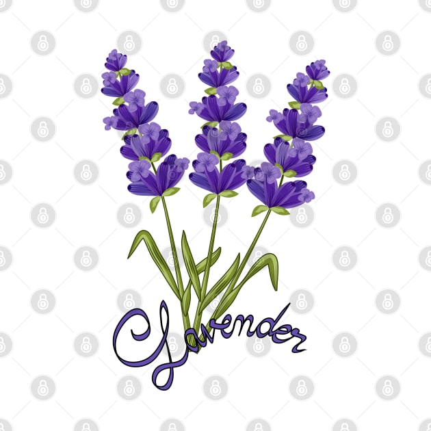 Lavender Flowers by Designoholic