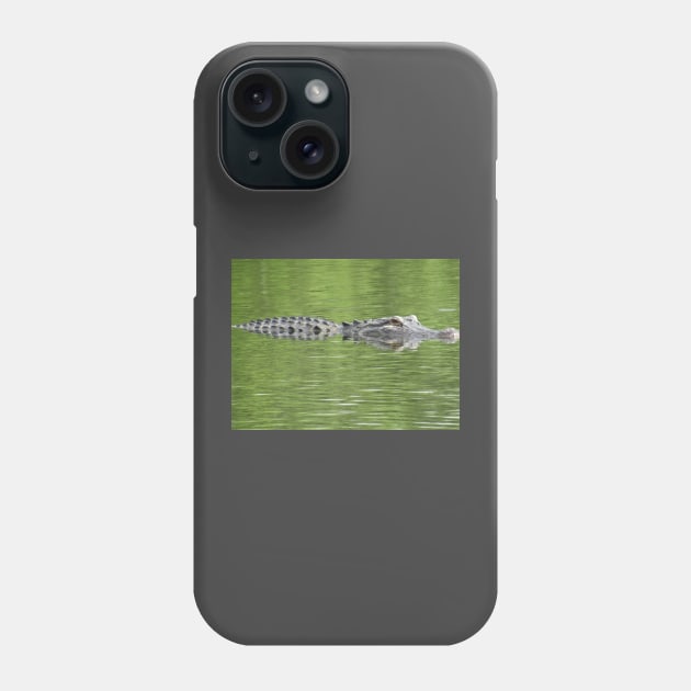 Gatorflauge Phone Case by 27Captures