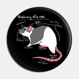 Anatomy of a rat Pin