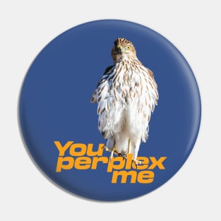 You perplex me Pin