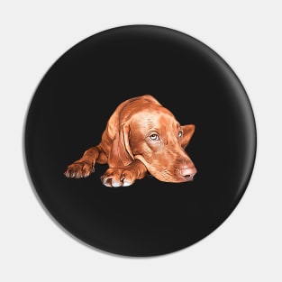 Hungarian Vizsla Pin