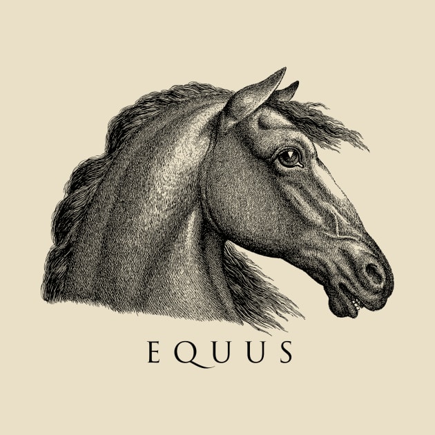 EQUUS by Cre8tiveSpirit