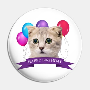 Happy Birthday Worried Kitty Pin