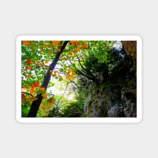 Scenery from Eremo di Soffiano in Sarnano between the Sibillini Mountains with foliage Magnet