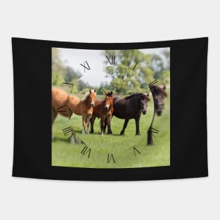 Three horses on pasture looking at camera Tapestry