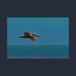 Pelican in flight T-Shirt