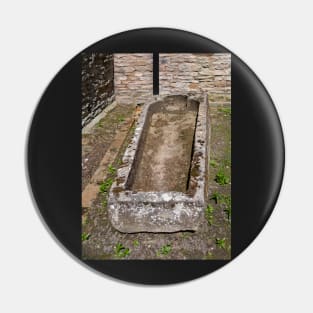 Much Wenlock-Tomb Pin