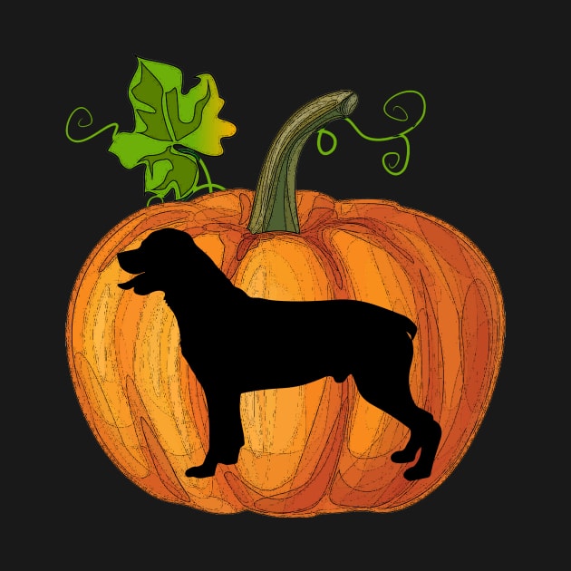 Rottweiler in pumpkin by Flavie Kertzmann