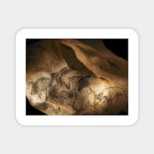 Stone-age cave paintings, Chauvet, France (C009/7644) Magnet