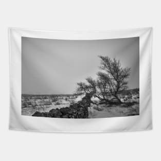 Windswept Lone Tree Tapestry