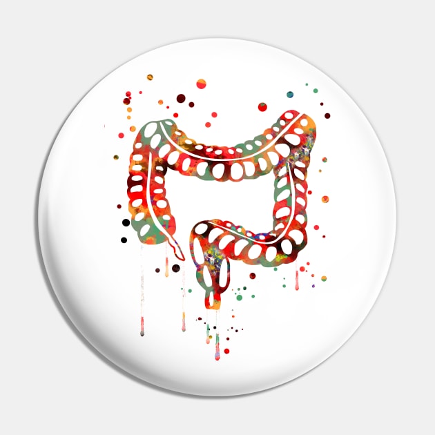 Lower gastrointestinal tract Pin by RosaliArt