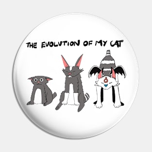 Evolution of my cat. Pin