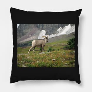 Bighorn Sheep Pillow