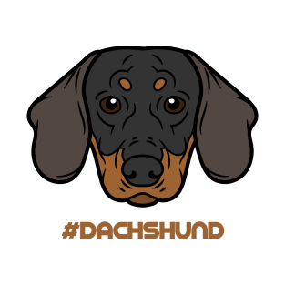 Dachshund Dog owners gift, dachshund lovers gift, dachshund mom, dachshund girl T-Shirt