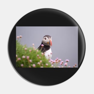 Puffin Pin