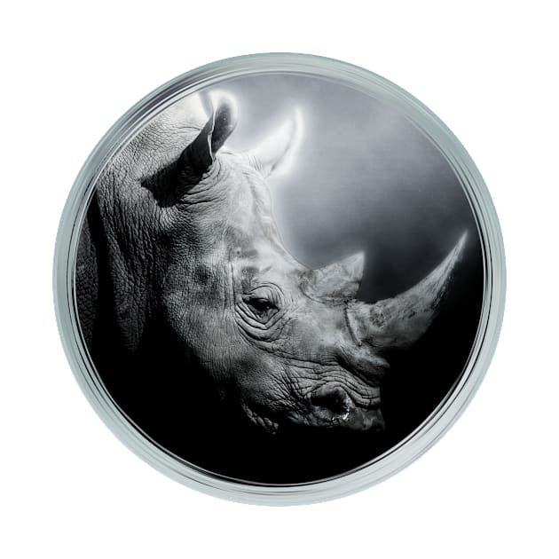 Rhinoceros Animal Wild Forest Jungle Nature Rhino Wildlife by Cubebox