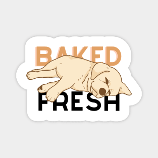 Baked Fresh Corgi Magnet