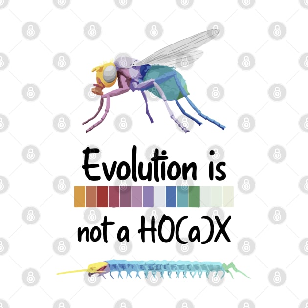 Evolution is not a hoax Hox Genes Similarities Housefly and centipede by labstud