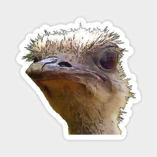 Beautiful Artistic Grumpy Ostrich Vector Cut Out Magnet