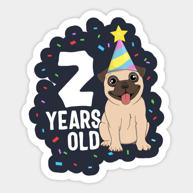 dog 2nd birthday