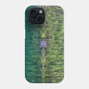 Trees at Lake Braies Phone Case