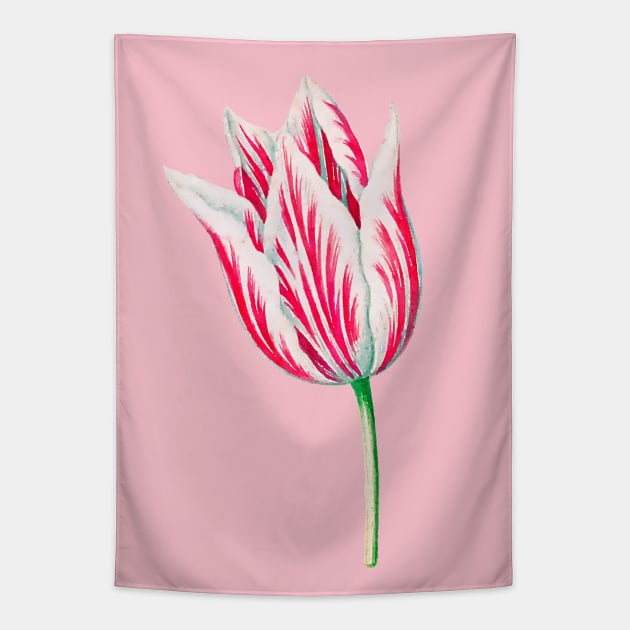 Red and White Dutch Tulip Watercolor Tapestry by terrybain