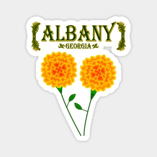 Albany Georgia Magnet