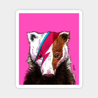 Pop Art Bowie Badger 1 Magnet