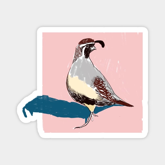 Quail Magnet by Sophie Lucido Johnson