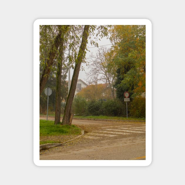 Steet in warm colors covered by leaves from the trees Magnet by KargacinArt