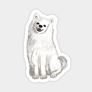 American Eskimo Dog (Large Design) Magnet