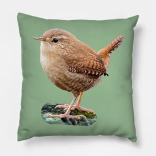 Jenny Wren Pillow