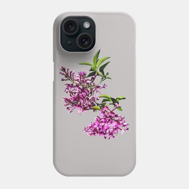 Pink Lilacs and Leaves Phone Case by SusanSavad
