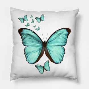 Teal Butterfly Pillow