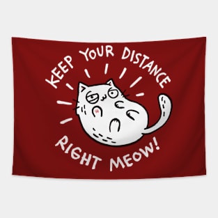 keep your distance right meow Tapestry