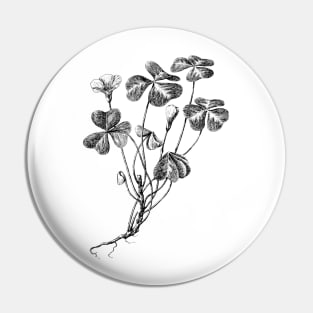 Forest Clover Black and White Vintage Botanical Illustration Pin