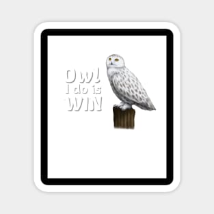 Owl I Do Is Win Magnet