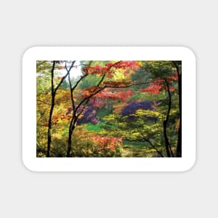 Trees In A Garden Butchart Gardens Magnet