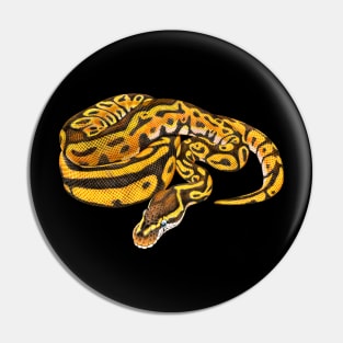 Ball Python Pin